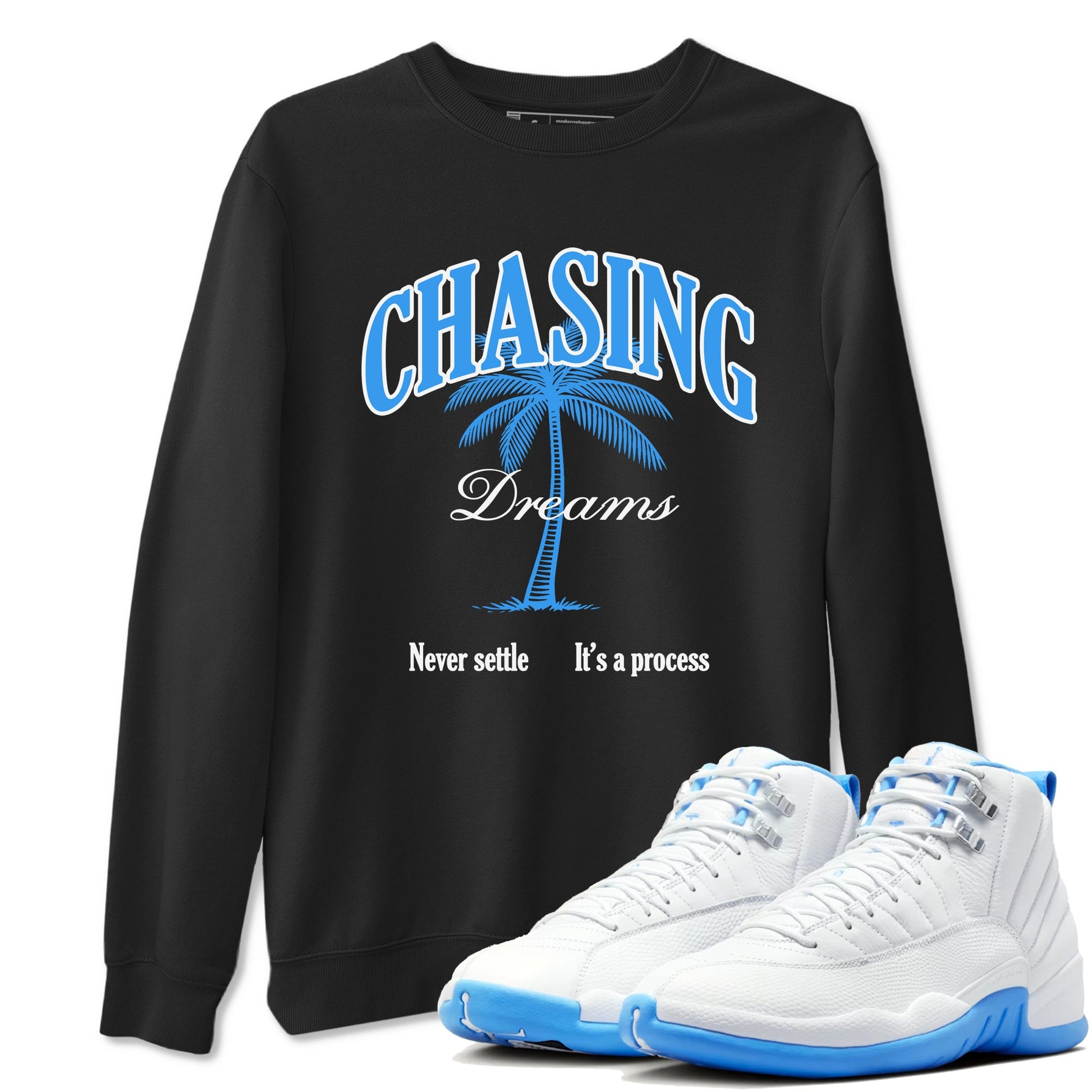Chasing Dreams sneaker match t-shirt styled to complete your fit with the Air Jordan 12 White and University Blue sneakers, shown in Black 1.