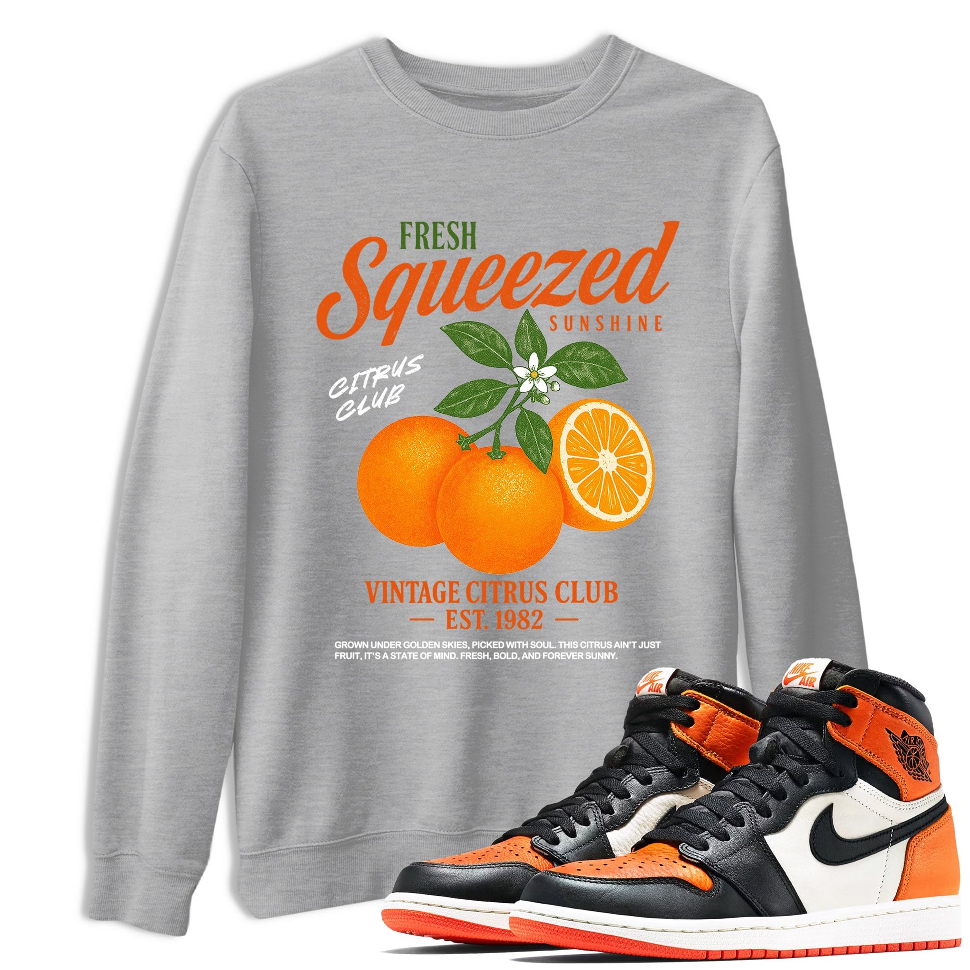 Sneaker match tees – Streetwear Graphic Tees Air Jordan 1 Shattered Backboard Sneakers – Vintage Citrus Club Graphic Tee Heather Grey 1