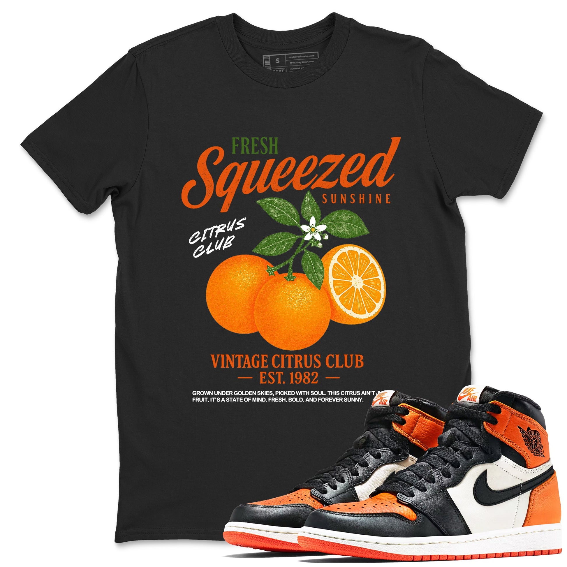 Sneaker match tees – Streetwear Graphic Tees Air Jordan 1 Shattered Backboard Sneakers – Vintage Citrus Club Graphic Tee Black 1