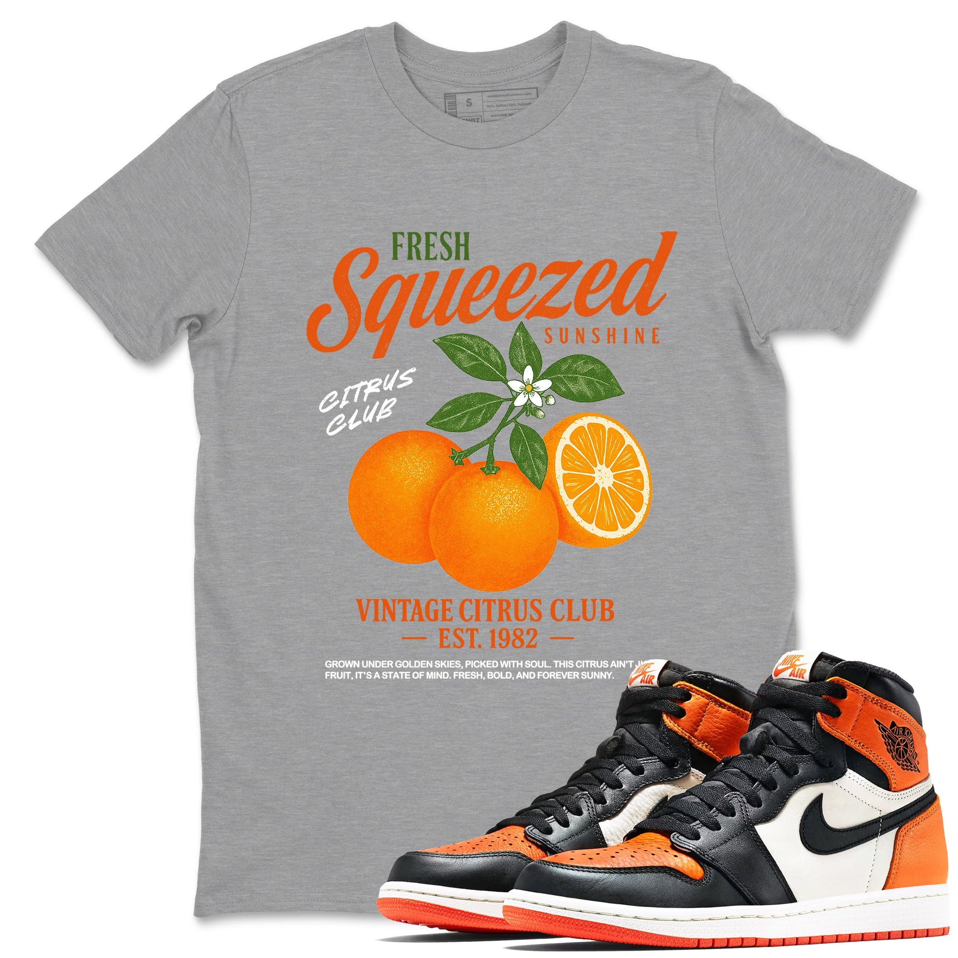 Sneaker match tees – Streetwear Graphic Tees Air Jordan 1 Shattered Backboard Sneakers – Vintage Citrus Club Graphic Tee Heather Grey 1