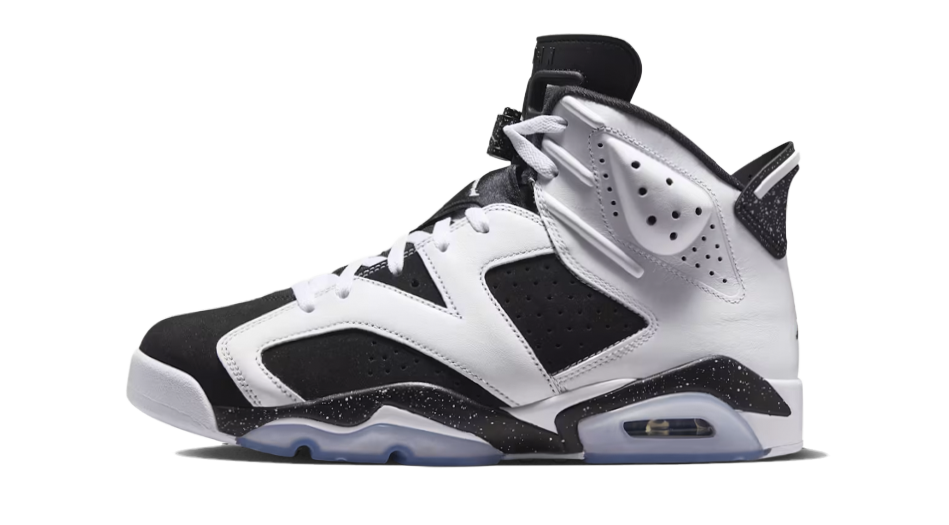 Air Jordan 6 Black and White