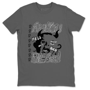 4s Wet Cement shirts to match jordans Are You Blessed sneaker match tees Air Jordan 4 SE Wet Cement SNRT Sneaker Release Tees unisex cotton Cool Grey 2 crew neck shirts