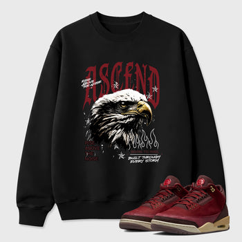 Ascend Beyond Graphic T-Shirt sneaker match tee designed for the Air Jordan 3 Bin 23, featuring coordinated color options for a perfect streetwear match. Black 1 shirt.