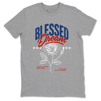 Sneaker match tees – Sneaker Threads To Match Air Jordan 11 Rare Air Shoes – Blessed Dream Tee Heather Grey 2