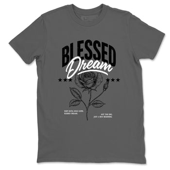 Sneaker match tees – Sneaker Tees To Match Air Jordan 4 Black Cat Shoes – Blessed Dream Tee Cool Grey 2
