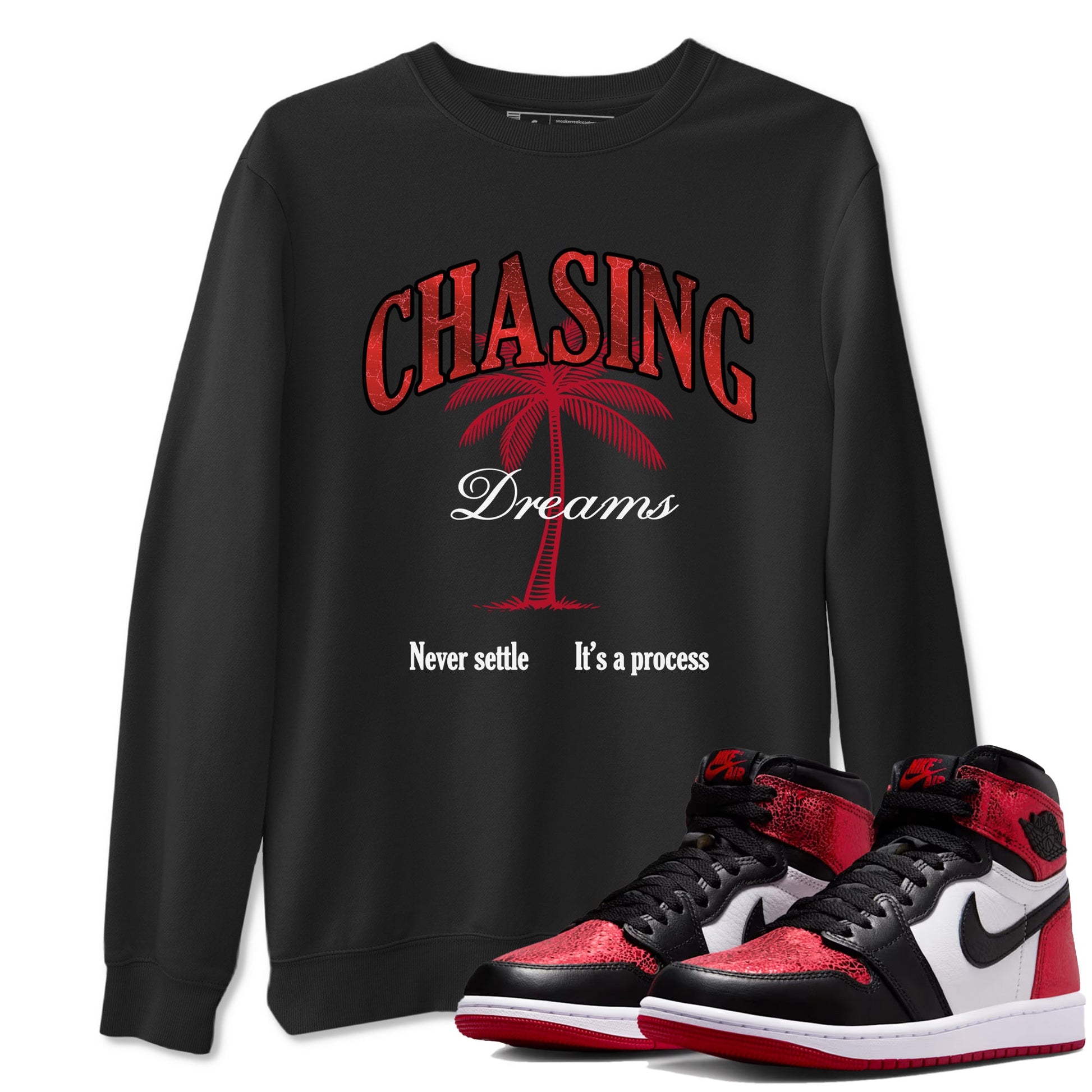 Chasing Dreams sneaker match t-shirt styled to complete your fit with the Air Jordan 1 Ruby sneakers, shown in Black 1.