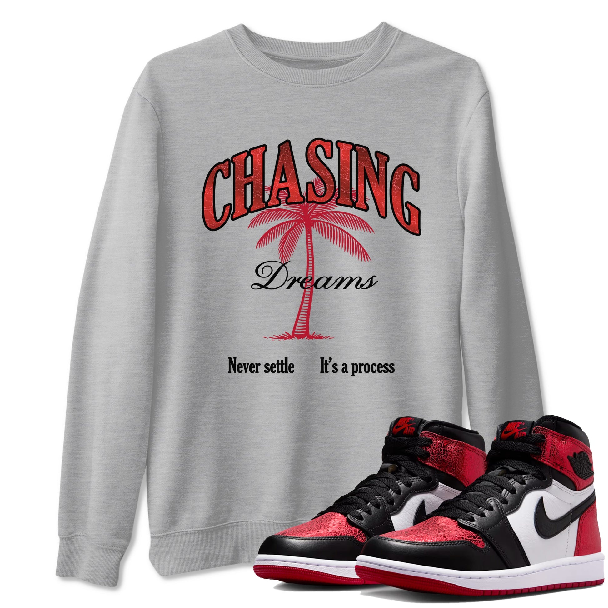 Chasing Dreams sneaker match t-shirt styled to complete your fit with the Air Jordan 1 Ruby sneakers, shown in Heather Grey 1.