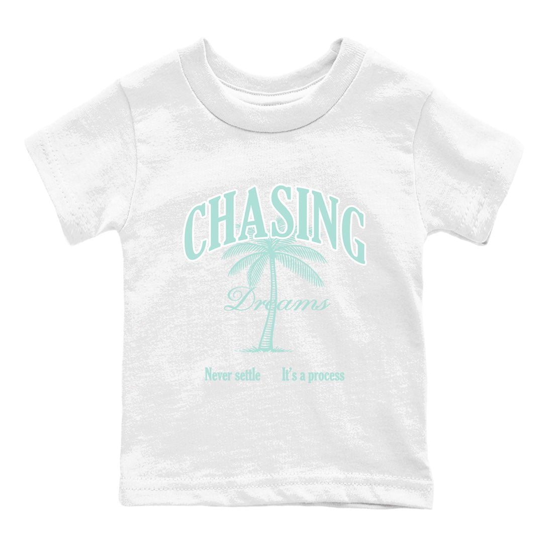 Chasing Dreams baby and kids t-shirt crafted for little sneakerheads to shine with the Air Jordan 11 Igloo sneakers, displayed in White 2.