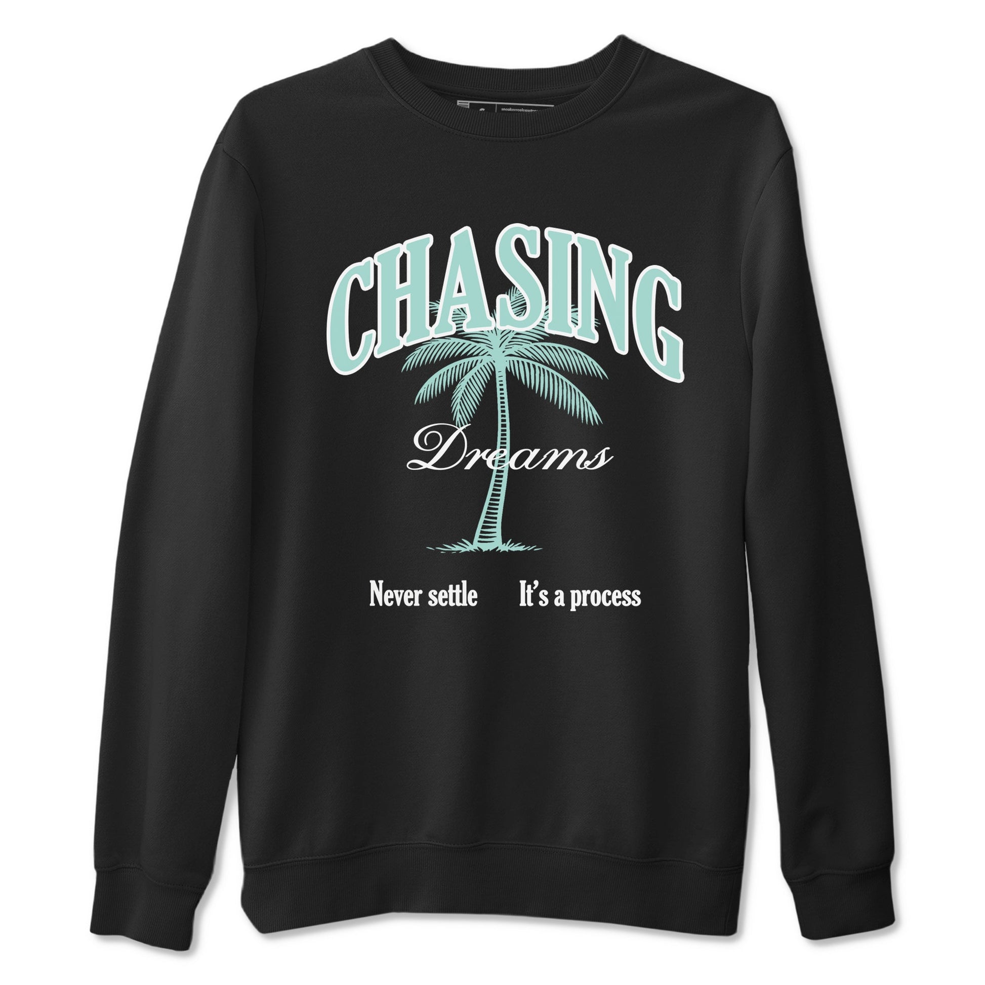 Chasing Dreams sneaker match t-shirt styled to complete your fit with the Air Jordan 11 Igloo sneakers, shown in Black 2.