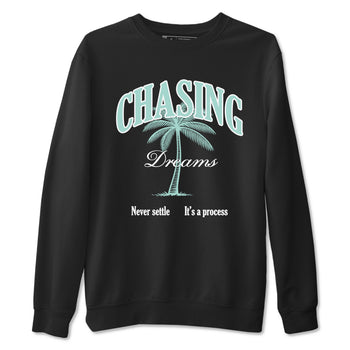 Chasing Dreams sneaker match t-shirt styled to complete your fit with the Air Jordan 11 Igloo sneakers, shown in Black 2.