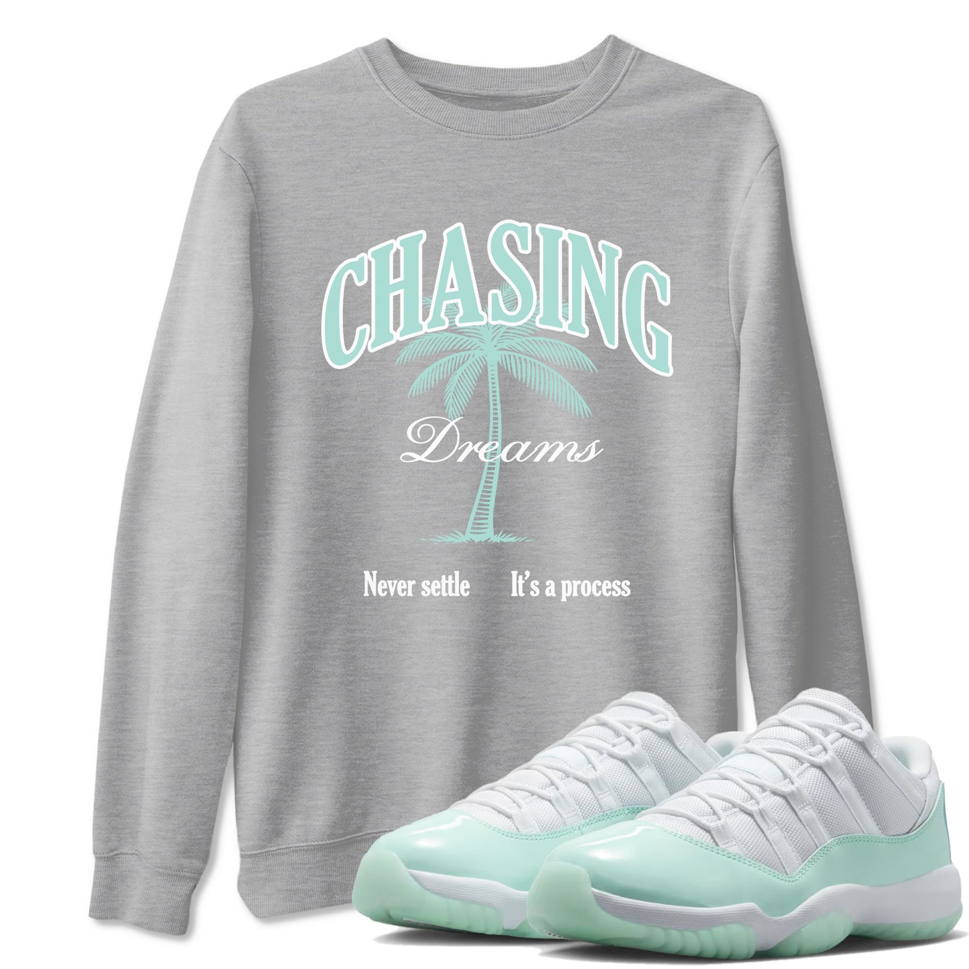 Chasing Dreams sneaker match t-shirt styled to complete your fit with the Air Jordan 11 Igloo sneakers, shown in Heather Grey 1.