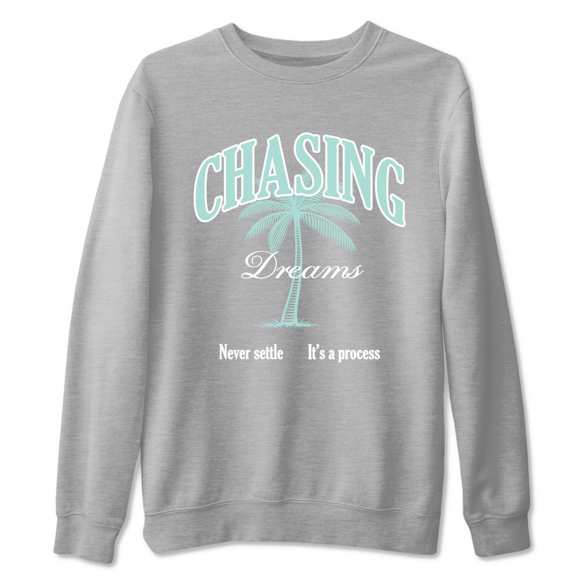 Chasing Dreams sneaker match t-shirt styled to complete your fit with the Air Jordan 11 Igloo sneakers, shown in Heather Grey 2.