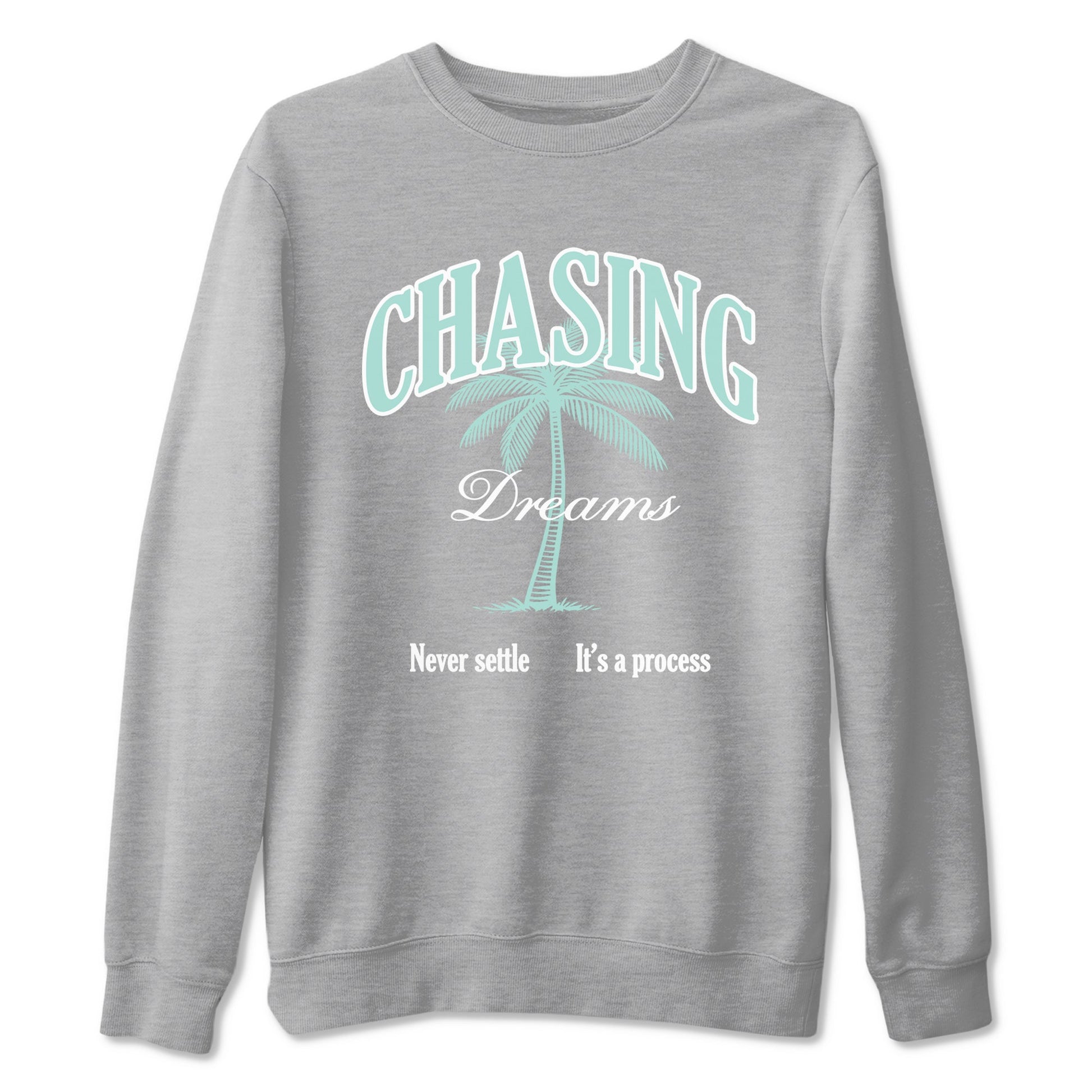 Chasing Dreams sneaker match t-shirt styled to complete your fit with the Air Jordan 11 Igloo sneakers, shown in Heather Grey 2.
