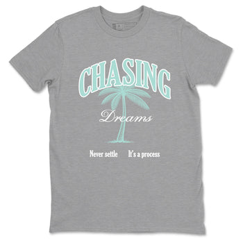 Chasing Dreams sneaker match t-shirt styled to complete your fit with the Air Jordan 11 Igloo sneakers, shown in Heather Grey 2.