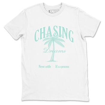 Chasing Dreams sneaker match t-shirt styled to complete your fit with the Air Jordan 11 Igloo sneakers, shown in White 2.