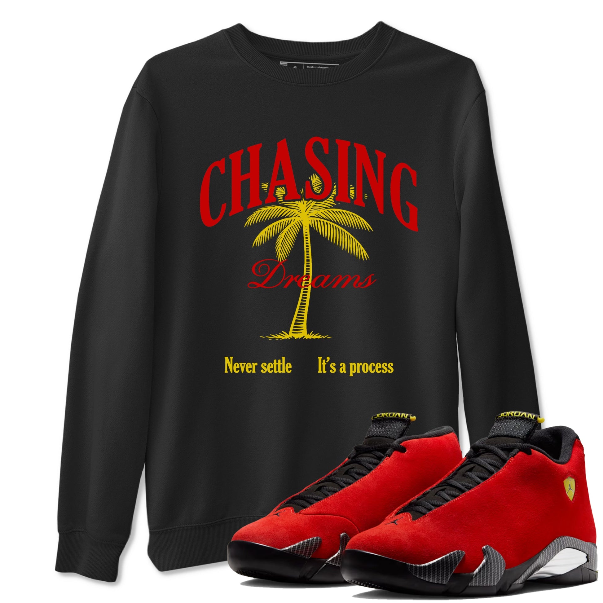 Chasing Dreams sneaker match t-shirt styled to complete your fit with the Air Jordan 14 Challenge Red sneakers, AJ14 Ferrari,  shown in Black 1.