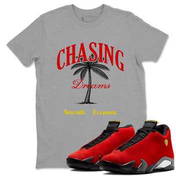 Chasing Dreams sneaker match t-shirt styled to complete your fit with the Air Jordan 14 Challenge Red sneakers, AJ14 Ferrari,  shown in Heather Grey 1.