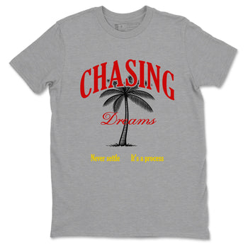 Chasing Dreams sneaker match t-shirt styled to complete your fit with the Air Jordan 14 Challenge Red sneakers, AJ14 Ferrari,  shown in Heather Grey 2.