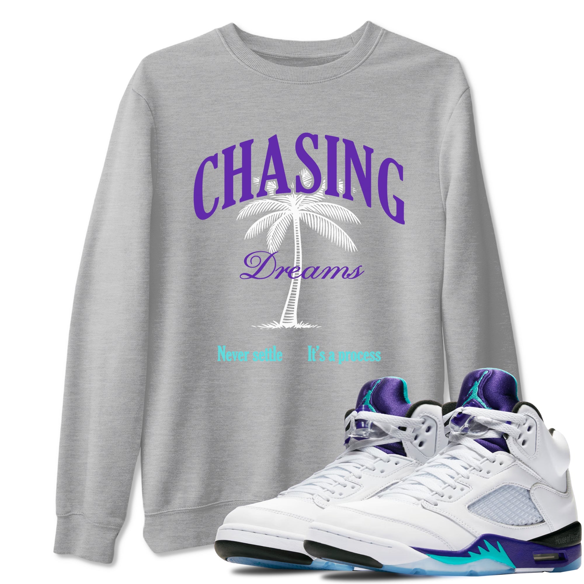 Chasing Dreams sneaker match t-shirt styled to complete your fit with the Air Jordan 5 Grape sneakers, shown in Heather Grey 1.