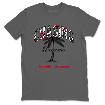 Sneaker Threads – Sneaker Tees To Match Air Jordan 8 Bunny – Chasing Dreams Graphic Tee Cool Grey 2. Perfect for Jordan releases 2025 colorways.