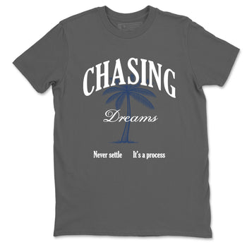 Perfect Valentine's Day Gifts graphic tee  – Sneaker Tees To Match Air Jordan 9 Flint Grey – Chasing Dreams Tee Cool Grey 2