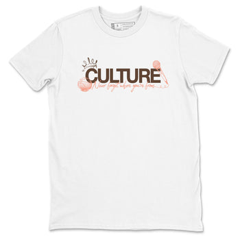 Sneaker match tees – Sneaker Tees To Match Air Jordan 1 Baroque Brown Shoes – Culture Tee White 2
