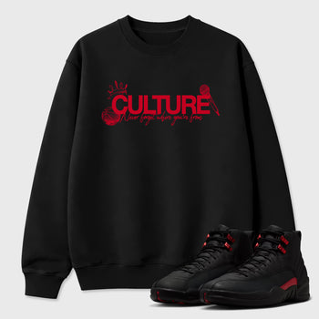 Culture Graphic T-Shirt sneaker match tee designed for the Air Jordan 12 Bloodline, featuring coordinated color options for a perfect streetwear match. Black 1 shirt.
