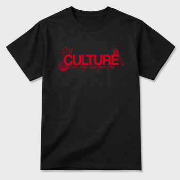 Culture Graphic T-Shirt sneaker match tee designed for the Air Jordan 12 Bloodline, featuring coordinated color options for a perfect streetwear match. Black 2 shirt.