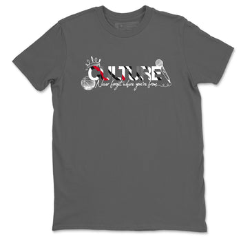 Sneaker match tees – Sneaker Tees To Match Air Jordan 8 Bunny Shoes Air Jordan 8 White and True Red – Culture Tee Cool Grey 2