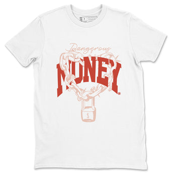 13s Dune Red shirts to match jordans Dangerous Money sneaker match tees Air Jordan 13 Dune Red SNRT Sneaker Tees streetwear brand White 2 unisex cotton tee