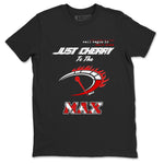 Do It To The Max SNRT Sneaker Tees - Air Jordan 11 Cherry