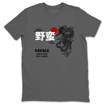Sneaker match tees – Sneaker Tees To Match Air Jordan 12 Taxi Shoes – Dragon Savage Tee Cool Grey 2
