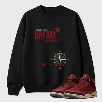Dream Chaser Graphic T-Shirt sneaker match tee designed for the Air Jordan 3 Bin 23, featuring coordinated color options for a perfect streetwear match. Black 1 shirt.