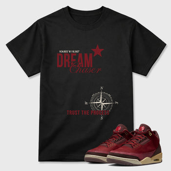 Dream Chaser Graphic T-Shirt sneaker match tee designed for the Air Jordan 3 Bin 23, featuring coordinated color options for a perfect streetwear match. Black 1 shirt.