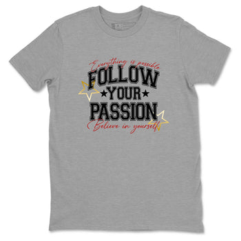 Best Sneakerfit graphic tee – Sneaker Tees To Match Air Jordan 12 Taxi Sneakers – Follow Your Passion Tee Heather Grey 2