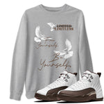 12s Baroque Brown shirts to match jordans Free Yourself Be Yourself sneaker match tees Air Jordan 12 Baroque Brown match shoes to clothes SNRT Sneaker Tees unisex cotton Heather Grey 1 shirts