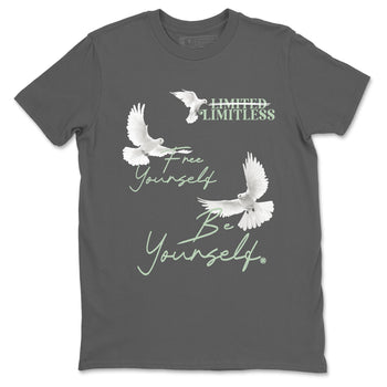 4s seafoam shirts to match jordans Free Yourself Be Yourself sneaker match tees Air Jordan 4 Abundance match shoes to clothes SNRT Sneaker Tees unisex cotton Cool Grey 2 shirts
