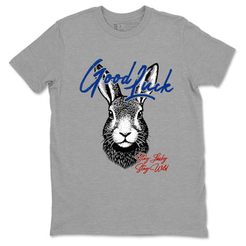Best Sneakerfit graphic tee – Sneaker Tees To Match Air Jordan 11 Rare Air Sneakers – Good Luck Tee Heather Grey 2