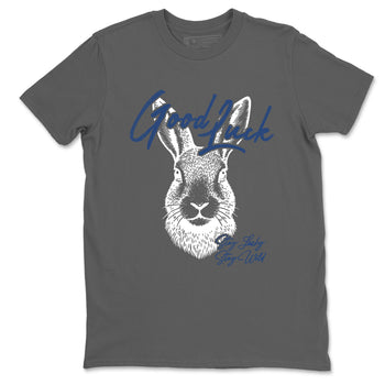 Sneaker match tees – Sneaker Tees To Match Air Jordan 9 Flint Grey Shoes – Good Luck Tee Cool Grey 2