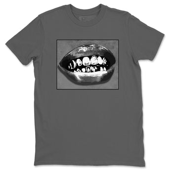 12s Black Wolf Grey shirts to match jordans Grillz Lips sneaker match tees Air Jordan 12 Barons SNRT Sneaker Release Tees unisex cotton Cool Grey 2 crew neck shirts