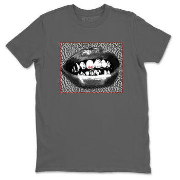 3s Cement Grey shirts to match jordans Grillz Lips sneaker match tees Air Jordan 3 Cement Grey SNRT Sneaker Release Tees unisex cotton Cool Grey 2 crew neck shirts