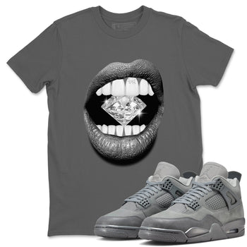 4s Wet Cement shirts to match jordans Lips Diamond sneaker match tees Air Jordan 4 Wet Cement SNRT Sneaker Release Tees unisex cotton Cool Grey 1 crew neck shirts