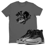 12s Black Wolf Grey shirts to match jordans Not Yours sneaker match tees Air Jordan 12 Barons SNRT Sneaker Release Tees unisex cotton Cool Grey 1 crew neck shirts