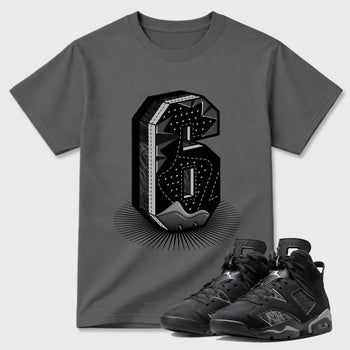 Sneaker match tees – Sneaker Tees To Match Air Jordan 6 Cap and Gown Shoes – Number Statue Tee Cool Grey 1
