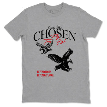 Best Sneakerfit graphic tee – Sneaker Tees To Match Air Jordan 1 Low Chicago Sneakers – Only The Chosen Fly This High Tee Heather Grey 2