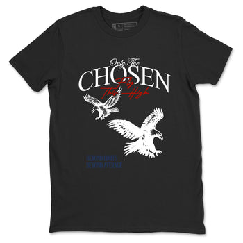 Sneaker match tees – Sneaker Tees To Match Air Jordan 11 Rare Air Shoes – Only The Chosen Fly This High Tee Black 2