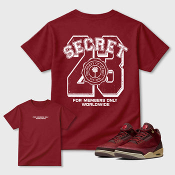 Property of Secret Graphic T-Shirt sneaker match tee designed for the Air Jordan 3 Bin 23 sneakers, featuring coordinated color options for a perfect streetwear match. Cardinal shirt.