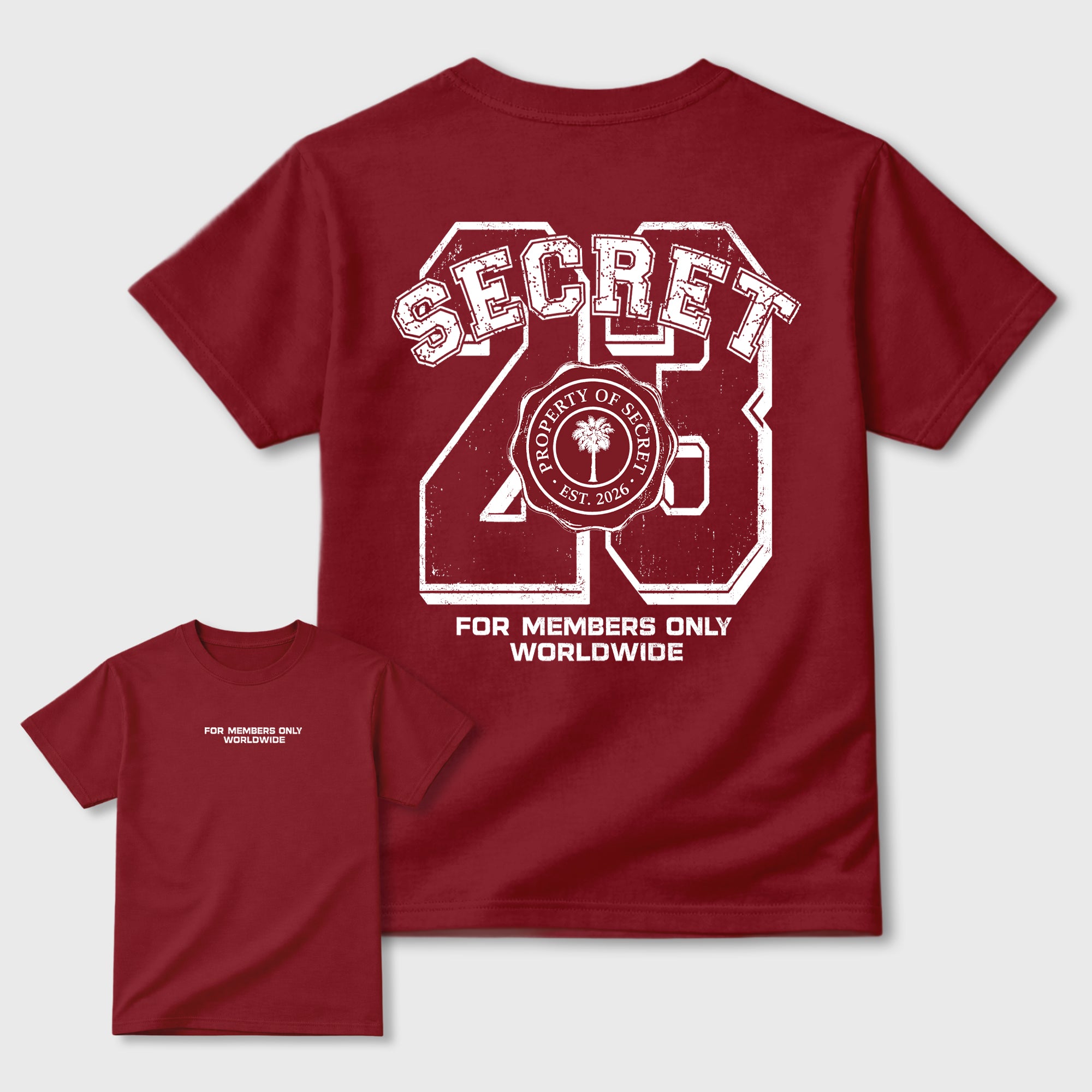 Property of Secret Graphic T-Shirt sneaker match tee designed for the 3s Burgundy Crush, featuring coordinated color options for a perfect streetwear match. Cardinal shirt.