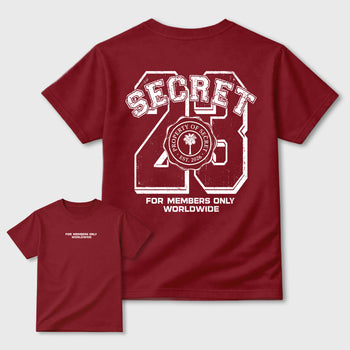 Property of Secret Graphic T-Shirt sneaker match tee designed for the 3s Burgundy Crush, featuring coordinated color options for a perfect streetwear match. Cardinal shirt.