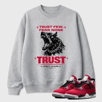 Sneaker match tees – Sneaker Tees To Match Air Jordan 4 Toro Bravo Shoes – Royalty is Rare Tee Heather Grey 1